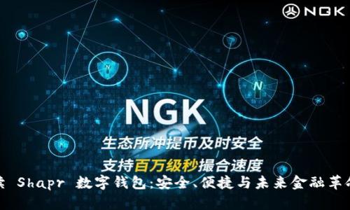 全面解读 Shapr 数字钱包：安全、便捷与未来金融革命的结合