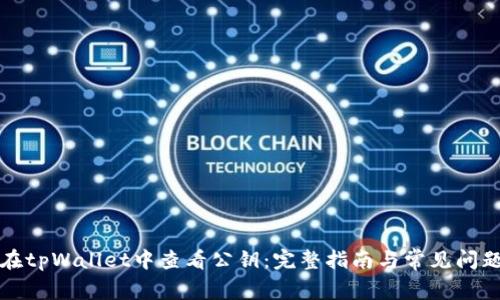 如何在tpWallet中查看公钥：完整指南与常见问题解答