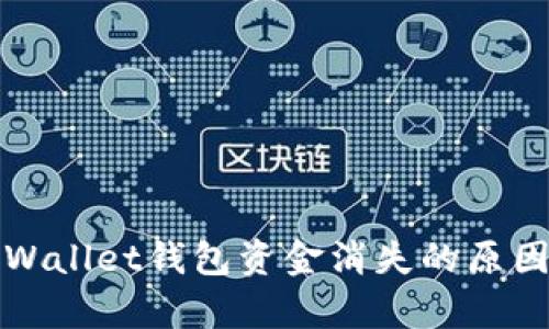 深入探讨tpWallet钱包资金消失的原因及解决方案