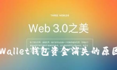 深入探讨tpWallet钱包资金消失的原因及解决方案