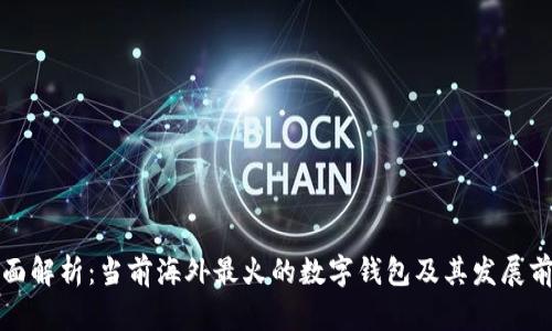 全面解析：当前海外最火的数字钱包及其发展前景