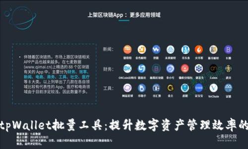 全面了解tpWallet批量工具：提升数字资产管理效率的最佳选择