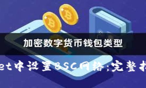 如何在tpWallet中设置BSC网络：完整指南与详细解析