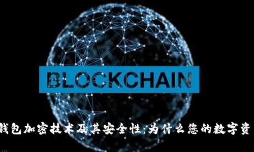 全面解析零钱包加密技术及其安全性：为什么您的数字资产需要保护？