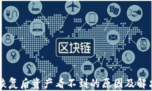 
tpWallet恢复后资产看不到的原因及解决方案解析