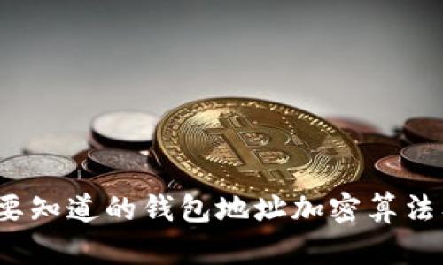 深入探讨：你需要知道的钱包地址加密算法及其安全性分析