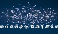  数字钱包的归属与安全：谁在掌握你的数字财富