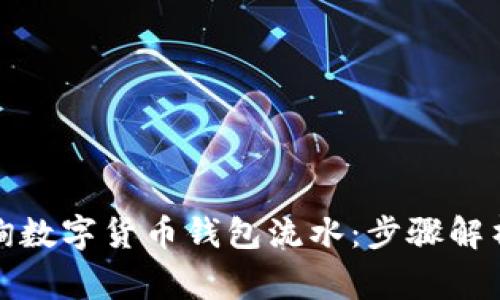 如何全面查询数字货币钱包流水：步骤解析与注意事项