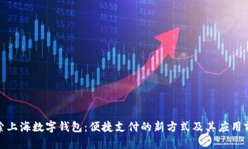 探索上海数字钱包：便捷支付的新方式及其应用前景