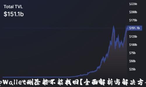 
tpWallet删除能不能找回？全面解析与解决方案