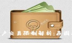 tpWallet大陆用户交易限制解析：原因、影响及解决