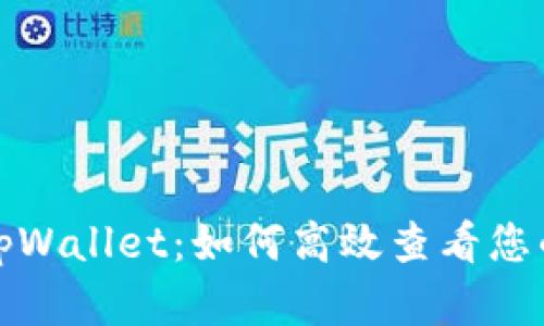 全面解析tpWallet：如何高效查看您的持币情况