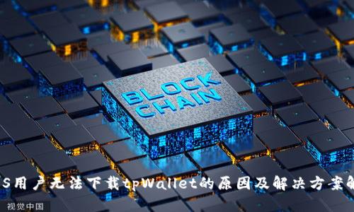  iOS用户无法下载tpWallet的原因及解决方案解析