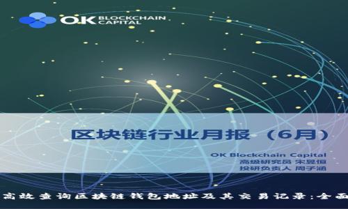 如何高效查询区块链钱包地址及其交易记录：全面指南