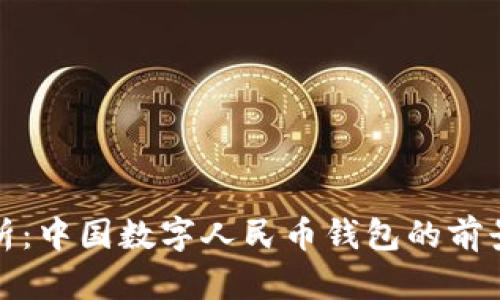 全面解析：中国数字人民币钱包的前景与挑战