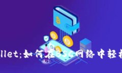 全面解析tpWallet：如何在BSC网络中轻松管理数字资