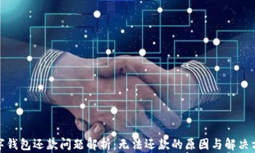 
数字钱包还款问题解析：无法还款的原因与解决方案