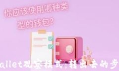探索tpWallet观察模式：转出去的步骤与技巧