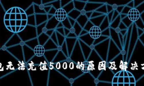 数字钱包无法充值5000的原因及解决方案详解