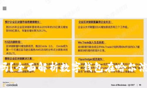 哈尔滨数字钱包通用吗？全面解析数字钱包在哈尔滨的应用及其未来趋势