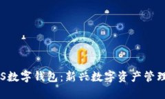 全面解析VDS数字钱包：新兴数字资产管理的未来