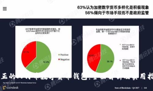 真正的人民币数字货币钱包：全面解析及实用指南