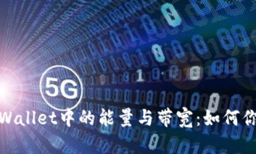 全面解析tpWallet中的能量与带宽：如何你的使用体验