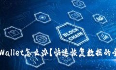误删tpWallet怎么办？快速恢复数据的全面指南