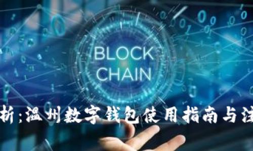 全面解析：温州数字钱包使用指南与注意事项