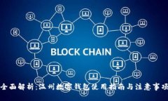 全面解析：温州数字钱包使用指南与注意事项