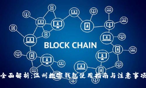 全面解析：温州数字钱包使用指南与注意事项