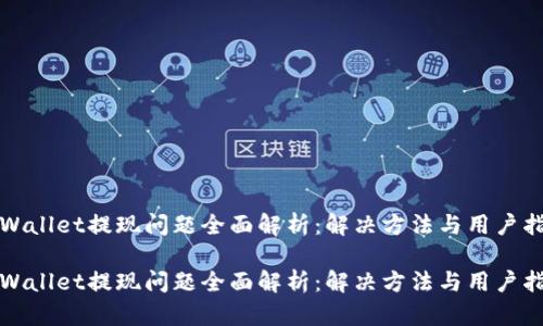 tpWallet提现问题全面解析：解决方法与用户指南

tpWallet提现问题全面解析：解决方法与用户指南