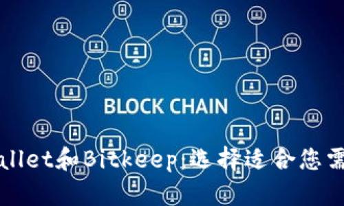 深入解析tpWallet和Bitkeep：选择适合您需求的数字钱包