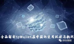 全面解析tpWallet在中国的使用现状与挑战