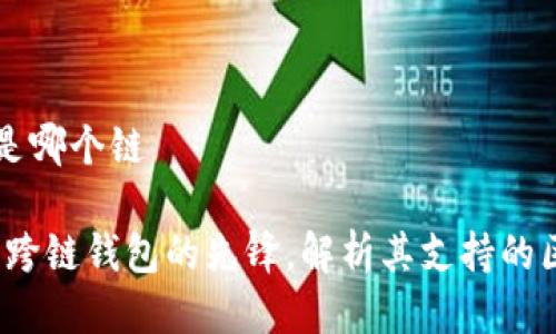 tpWallet是哪个链

tpWallet：跨链钱包的先锋，解析其支持的区块链系统