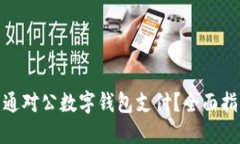 : 如何高效开通对公数字钱包支付？全面指南与实