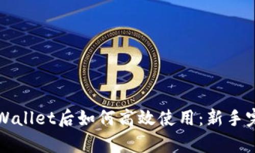 下载tpWallet后如何高效使用：新手完全指南