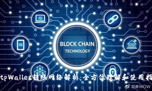 : tpWallet转账网络解析：全方位理解和使用指南