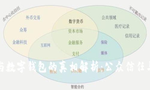 数字货币与数字钱包的真相解析：公众信任与市场前景