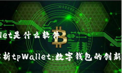 tpWallet是什么软件

全面解析tpWallet：数字钱包的创新与应用