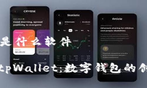 tpWallet是什么软件

全面解析tpWallet：数字钱包的创新与应用
