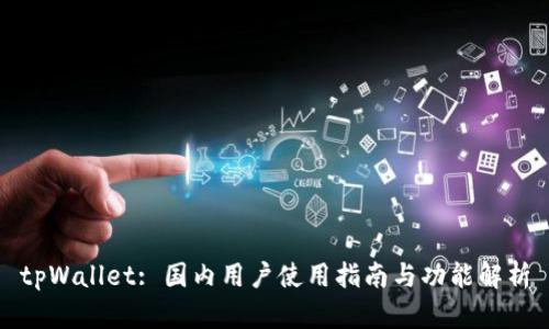tpWallet: 国内用户使用指南与功能解析