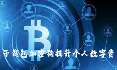 如何利用电子钱包加密狗提升个人数字资产的安全性