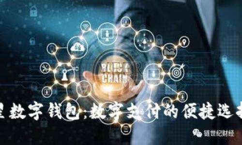探索印度三星数字钱包：数字支付的便捷选择与安全保障