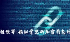 掌握区块链世界：揭秘常见的加密钱包种类与特