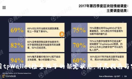 如何使用tpWallet检查池子的锁定状态：详尽指南与实用技巧
