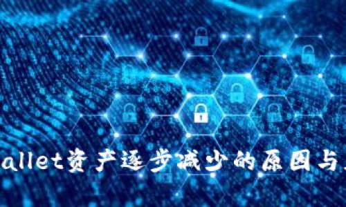 探寻tpWallet资产逐步减少的原因与应对策略