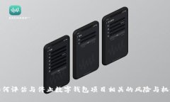 如何评估与停止数字钱包项目相关的风险与机会