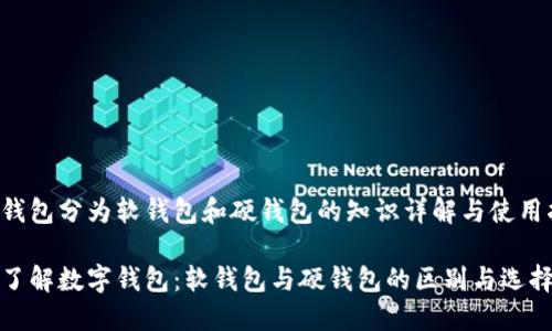数字钱包分为软钱包和硬钱包的知识详解与使用指南

深入了解数字钱包：软钱包与硬钱包的区别与选择指南