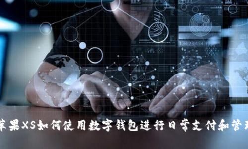 苹果XS如何使用数字钱包进行日常支付和管理